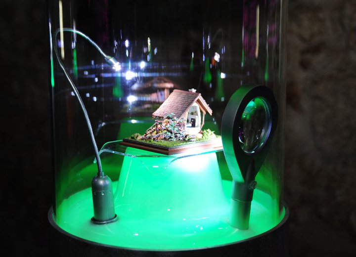 Museo profesor Max